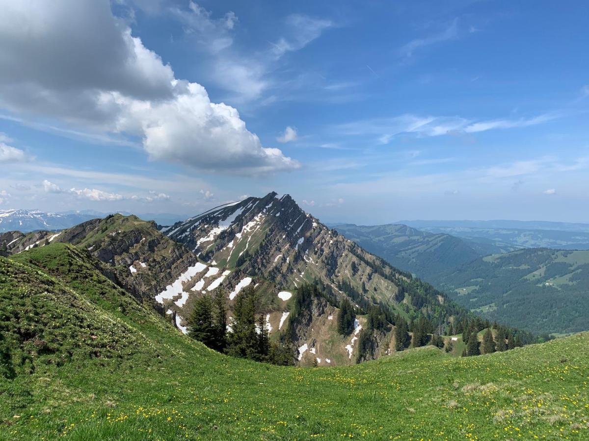 Staufen Herz Oberstaufen Ngoại thất bức ảnh